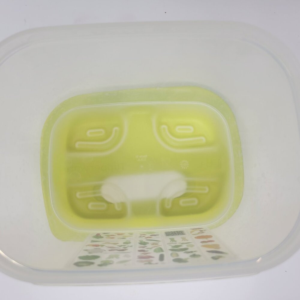 Tupperware Fridgesmart Small Deep Containers - Picture 3 of 8